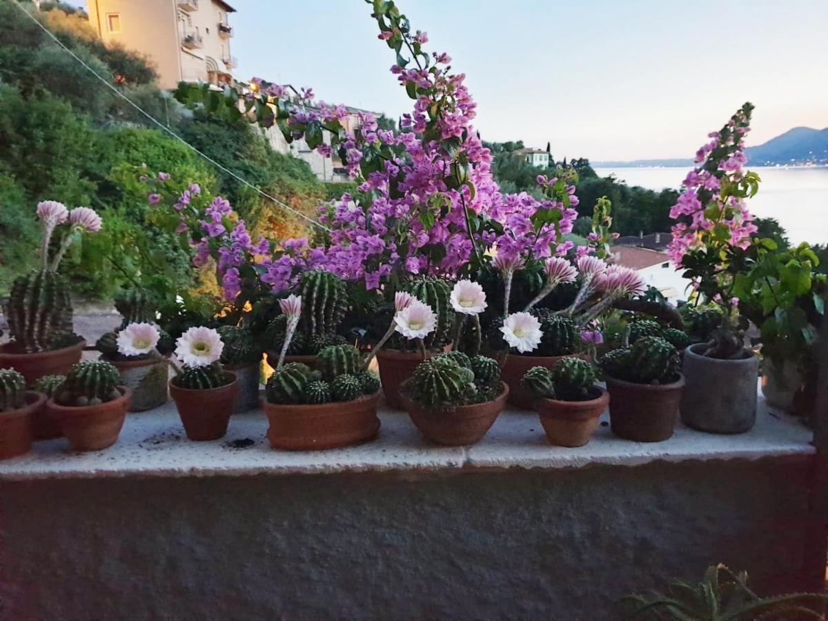 Le Due Terrazze Villa Brenzone sul Garda Exterior foto