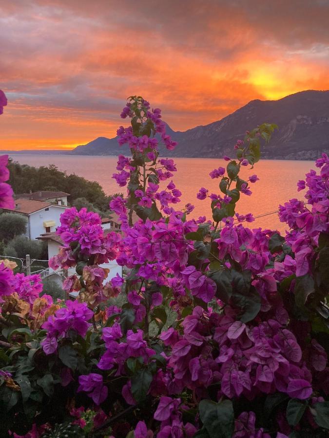 Le Due Terrazze Villa Brenzone sul Garda Exterior foto